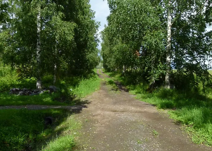 Vehmaanpirtti בקתה Orivesi